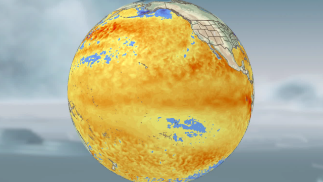 O El Niño está chegando mais rápido do que o O retângulo mostra a área do Oceano Pacífico onde as temperaturas da superfície do mar estão sendo monitoradas para a formação do El Niño. -CNNTempo