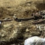 O corpo de uma vítima do massacre de Srebrenica jaz numa vala comum em Budak, a cerca de 500 metros de Potocari