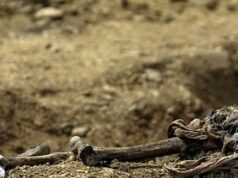 O ‘açougueiro da Bósnia’ Ratko Mladic deve ser libertado da prisão imediatamente porque um homem de 84 anos está à beira da morte, dizem seus advogados O corpo de uma vítima do massacre de Srebrenica jaz numa vala comum em Budak, a cerca de 500 metros de Potocari