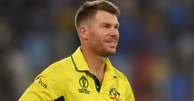 David Warner da Austrália.