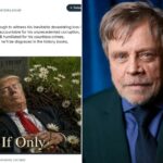 A postagem Bluesky de Mark Hamill retrata Donald Trump morto em uma cova aberta com margaridas e uma lápide lendo