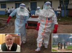 O ex-chefe do CDC, Robert Redfield, teme que o surto de Ebola se torne uma ‘pandemia muito significativa’ O ex-chefe do CDC, Robert Redfield, teme que o surto de Ebola se torne uma 'pandemia muito significativa'