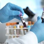 O teste analisa amostras de sangue em busca de pequenos fragmentos de DNA canceroso