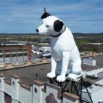 O futuro da amada estátua de um cachorro de 28 pés de altura chamada 'Nipper' em um armazém de Nova York está no ar