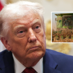 Main image: Donald Trump participates in a roundtable discussion with farmers in the Cabinet Room of the White House on December 08, 2025 in Washington, DC. Inset: Harvesting soybean and corn in Keaton, Tennessee - undated stock photo