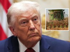 O índice de aprovação de Trump desaba com os americanos rurais em meio à fúria dos agricultores Main image: Donald Trump participates in a roundtable discussion with farmers in the Cabinet Room of the White House on December 08, 2025 in Washington, DC. Inset: Harvesting soybean and corn in Keaton, Tennessee - undated stock photo