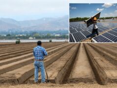 O mais recente benefício da Califórnia para imigrantes ilegais: painéis solares gratuitos Um trabalhador da construção civil instala painéis solares num telhado.