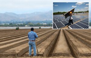O mais recente benefício da Califórnia para imigrantes ilegais: painéis solares gratuitos Um trabalhador da construção civil instala painéis solares num telhado.