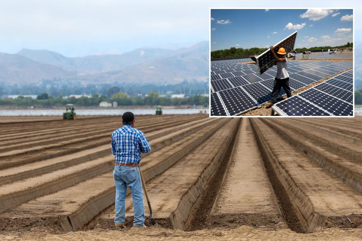 Um trabalhador da construção civil instala painéis solares num telhado.