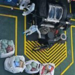 Até agora, três pessoas morreram devido ao raro vírus transmitido por ratos no navio de bandeira holandesa, que partiu em março para navegar de Ushuaia, na Argentina, para Cabo Verde.