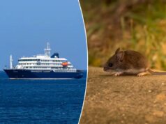 O que é hantavírus? Doença suspeita de matar três em navio de cruzeiro O que é hantavírus? Doença suspeita de matar três em navio de cruzeiro