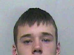O último ‘bandido selvagem’ ainda atrás das grades por chutar e esfaquear Sophie Lancaster até a morte por estar vestida de gótica em 2007 foi liberado para libertação Brendan Harris (foto), foi considerado culpado pelo assassinato de Sophie em 2008 e condenado à prisão perpétua com pena mínima de 18 anos