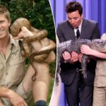 O vencedor de 'DWTS', Robert Irwin, foi 'morto' por um crocodilo de 14 pés que ele batizou em homenagem a Jimmy Fallon