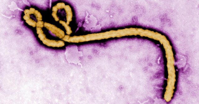 OMS declara emergência de saúde global encerrada após dezenas de mortos
