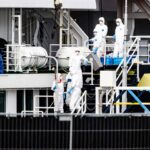OMS diz que 12ª pessoa infectada com hantavírus foi detectada na Holanda