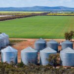 Os mercados de trigo voltam à vida: o que um novo relatório diz aos produtores australianos