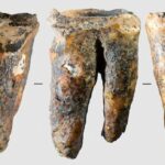 Cientistas cavando e trabalhando fora de uma caverna