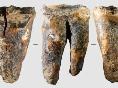Os neandertais podem ter se interessado pela odontologia há 59 mil anos Cientistas cavando e trabalhando fora de uma caverna