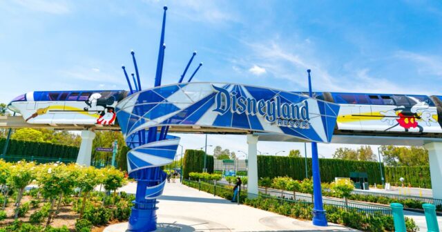 Os parques temáticos da Disney mantêm receitas estáveis, apesar das preocupações económicas nacionais
