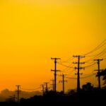 Power lines and trees in California at sunset.