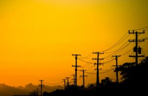Os preços da energia subiram 76% na maior rede da América, e um cão de guarda está apontando o dedo Power lines and trees in California at sunset.