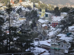 Os turistas visitam Shimla à medida que as planícies ficam mais quentes; 70 mil veículos chegam à cidade em 72 horas Os turistas visitam Shimla à medida que as planícies ficam mais quentes; 70 mil veículos chegam à cidade em 72 horas