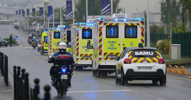 Paciente francês com hantavírus está gravemente doente e com pulmão artificial
