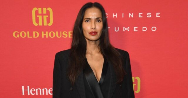 Padma Lakshmi detalha sua difícil vida amorosa como mãe solteira, posso fazer uma verificação de antecedentes