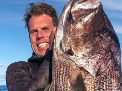 Pai de dois filhos é nomeado vítima de ataque de tubarão Rottnest Um homem de 30 anos está em estado crítico após um suposto ataque de tubarão branco na ilha Rottnest, perto de Perth. Um porta-voz da ambulância de St John WA disse que os serviços de emergência foram chamados ao local perto de Geordie Bay às 10h (horário local) de hoje.