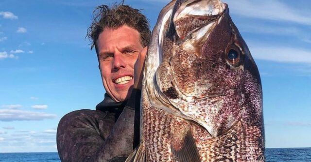 Pai de dois filhos é nomeado vítima de ataque de Um homem de 30 anos está em estado crítico após um suposto ataque de tubarão branco na ilha Rottnest, perto de Perth. Um porta-voz da ambulância de St John WA disse que os serviços de emergência foram chamados ao local perto de Geordie Bay às 10h (horário local) de hoje.