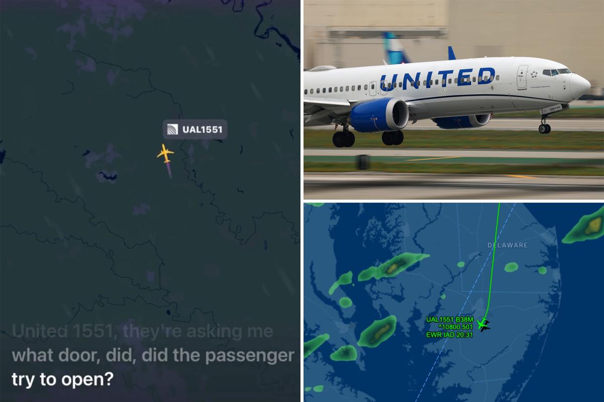 Passageiro da United Airlines tenta abrir porta do avião a 36.000 pés e agrediu viajante em voo de Newark