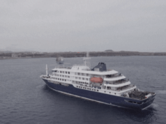 Passageiro de navio atingido por hantavírus fala com a Al Jazeera em isolamento Passageiro de navio atingido por hantavírus fala com a Al Jazeera em isolamento