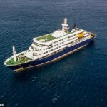 Um britânico foi levado aos cuidados intensivos depois que o vírus se espalhou a bordo do MV Hondius (foto), viajando de Ushuaia, na Argentina, para Cabo Verde, na África