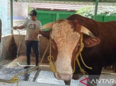 Pemprov DKI Minta Sampah Pemotongan Hewan Kurban Tak Dibuang Sembarangan Pemprov DKI Minta Sampah Pemotongan Hewan Kurban Tak Dibuang Sembarangan