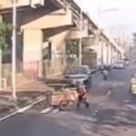 Pengakuan Sopir Pajero Kenapa Kabur Usai Tabrak Lansia Penjual Buah di Jaktim