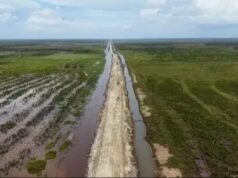 Pengembangan Food Estate em Papua Selatan Dinilai Penting para Kedaulatan Pangan Jangka Panjang Pengembangan Food Estate em Papua Selatan Dinilai Penting para Kedaulatan Pangan Jangka Panjang