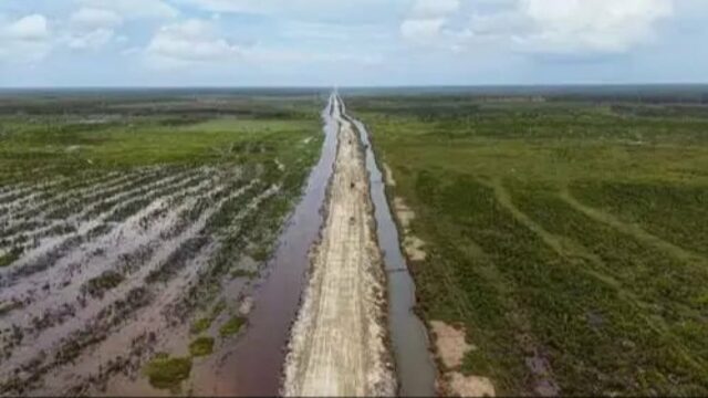 Pengembangan Food Estate em Papua Selatan Dinilai Penting para Kedaulatan Pangan Jangka Panjang
