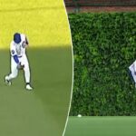 Um defensor externo do Chicago Cubs observa enquanto uma bola de beisebol rola na grama em frente a uma parede coberta de hera, com torcedores surpresos nas arquibancadas acima.