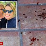 Pista arrepiante da 'última resistência' que mostra que Nancy Guthrie estava viva quando foi sequestrada: agente aposentado do FBI