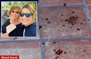 Pista arrepiante da ‘última resistência’ que mostra que Nancy Guthrie estava viva quando foi sequestrada: agente aposentado do FBI Pista arrepiante da 'última resistência' que mostra que Nancy Guthrie estava viva quando foi sequestrada: agente aposentado do FBI