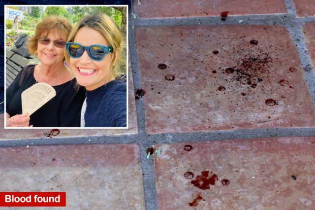 Pista arrepiante da 'última resistência' que mostra que Nancy Guthrie estava viva quando foi sequestrada: agente aposentado do FBI
