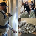Polícia cumprindo ordem de despejo recupera 300 quilos de maconha ilegal em prédio de Nova York