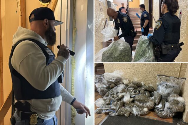 Polícia cumprindo ordem de despejo recupera 300 quilos de maconha ilegal em prédio de Nova York
