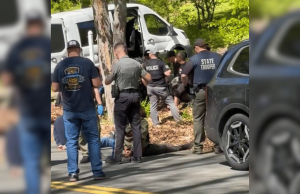 Polícia de Connecticut invade propriedade de Tolland prendendo 100 suspeitos em investigação de briga de galos A polícia e oficiais do estado de Connecticut detêm suspeitos durante uma operação em uma suposta operação de briga de galos e jogos de azar ilegais em Tolland na sexta-feira.