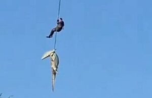 Policial é baixado em rio infestado de crocodilos para recuperar restos humanos Uma mulher olhando para seu celular e para o gráfico da BBC News Africa
