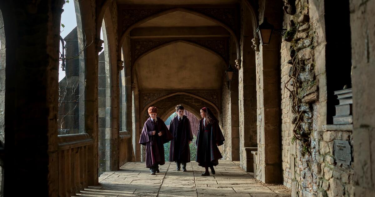 Por que a série 'Harry Potter' está reformulando um papel importante antes da 2ª temporada