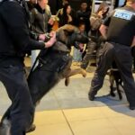 Na Usina Elétrica de Battersea, em Londres, a polícia chegou com K9s depois que uma multidão invadiu os guardas de segurança em direção à loja, e surgiram brigas de reivindicações.