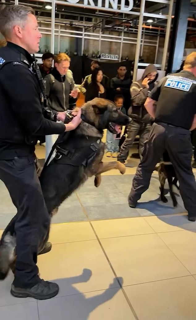 Por que há brigas em todo o mundo por causa Na Usina Elétrica de Battersea, em Londres, a polícia chegou com K9s depois que uma multidão invadiu os guardas de segurança em direção à loja, e surgiram brigas de reivindicações.