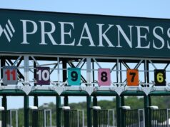 Preakness Stakes 2026: escolhas e previsões dos especialistas Área de trilha e visualização do Preakness Stakes sob um céu azul brilhante.