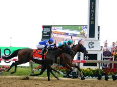 Probabilidades de Preakness para 2026, pós-posições: Iron Honor de Chad C. Brown marcado como favorito Chad C. Brown, treinador de cavalos Early Voting, segura o Woodland Vase depois que seu cavalo venceu a 147ª corrida do Preakness Stakes.